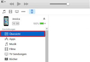 iTunes Übersicht auswählen